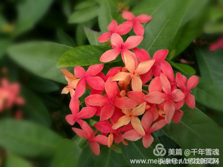 永远的余子店——文/刘宏冰