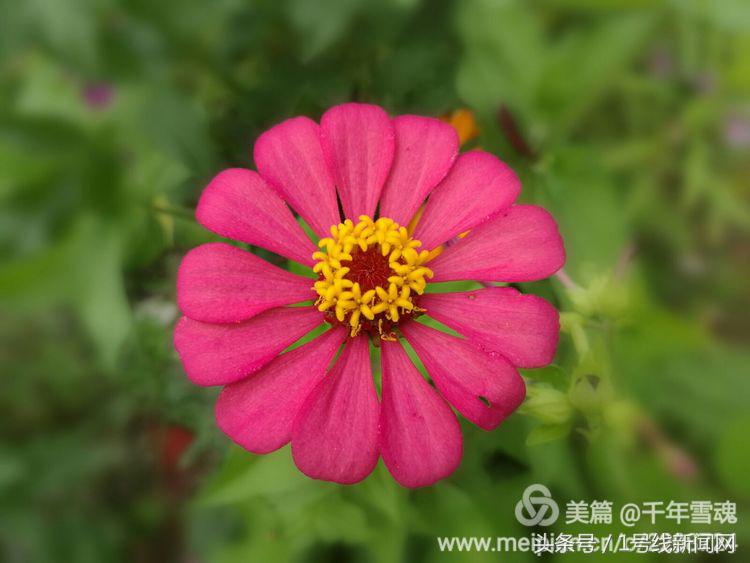 永远的余子店——文/刘宏冰