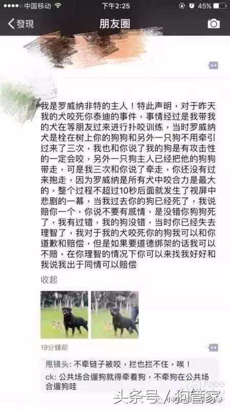 泰迪被大狗咬死了要怎么处理,泰迪狗被大白狗咬死了有什么预兆