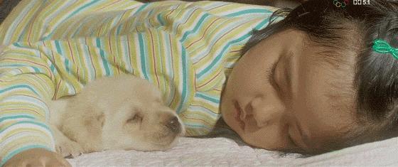 这些猫狗男女都爱看