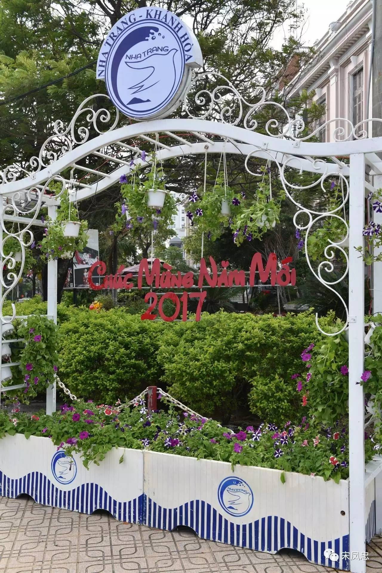 我的越南之旅旅行日记,旅行日记越南