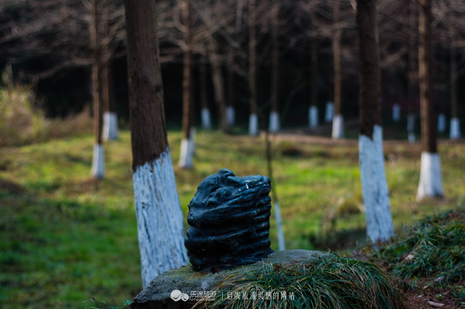 跟着镜头领略震撼心灵的景色,跟随镜头观人文与美景