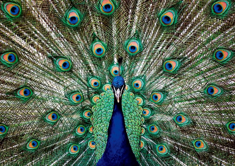 西双版纳从下飞机开始的攻略,进入西双版纳的视频