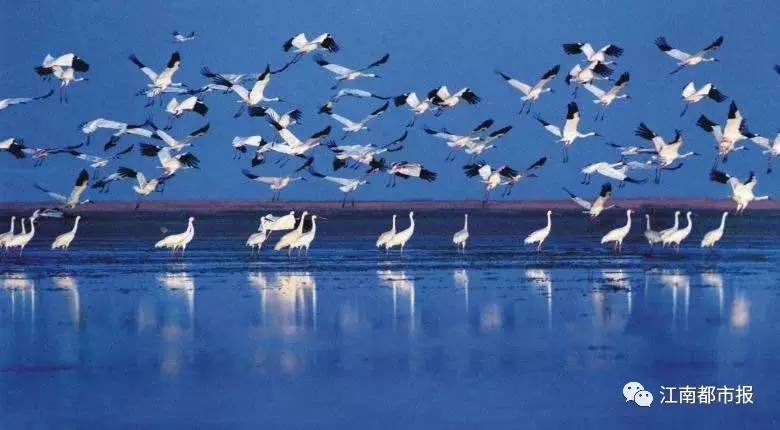 疼！一个铁钩，钩住的是全人类的的心