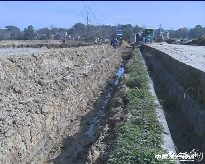 水蛭养殖季节,水蛭捕捞时间在几月份