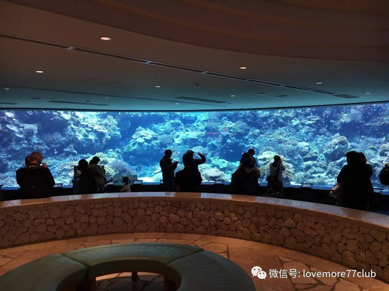 冲绳亲子自由行,成都冲绳亲子游攻略图