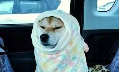 西安将迎雨雪降温天气,未来一周西安局地气温可达40度