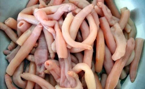 威海一月份当季海鲜,威海冬天海鲜种类