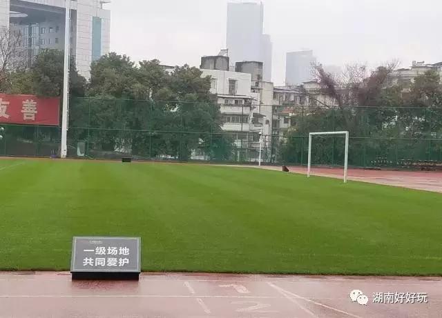 国足最新比赛票,国足对阵泰国队球票今日起售