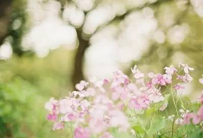 妇科常识100个小知识,女性常见妇科疾病健康宣教内容ppt