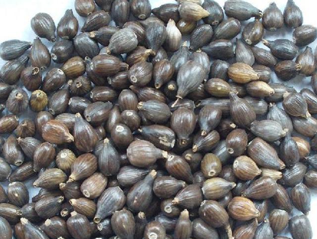 湿气重不重该怎么判断有效祛湿,湿气重生百病老中医推荐祛湿方