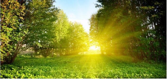 王石谈思考的方法,战胜拖延马上行动