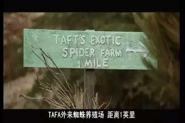 这是你们要的大长腿，备好纸巾，准备上下其手吧