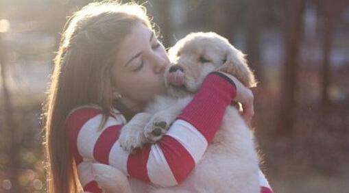 养狗指南狗狗性格判断训练策略,养狗注意情绪