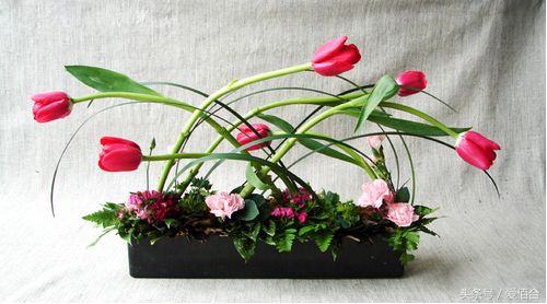 学花艺去工作室学还是培训机构,想学花艺去花店还是去培训学校