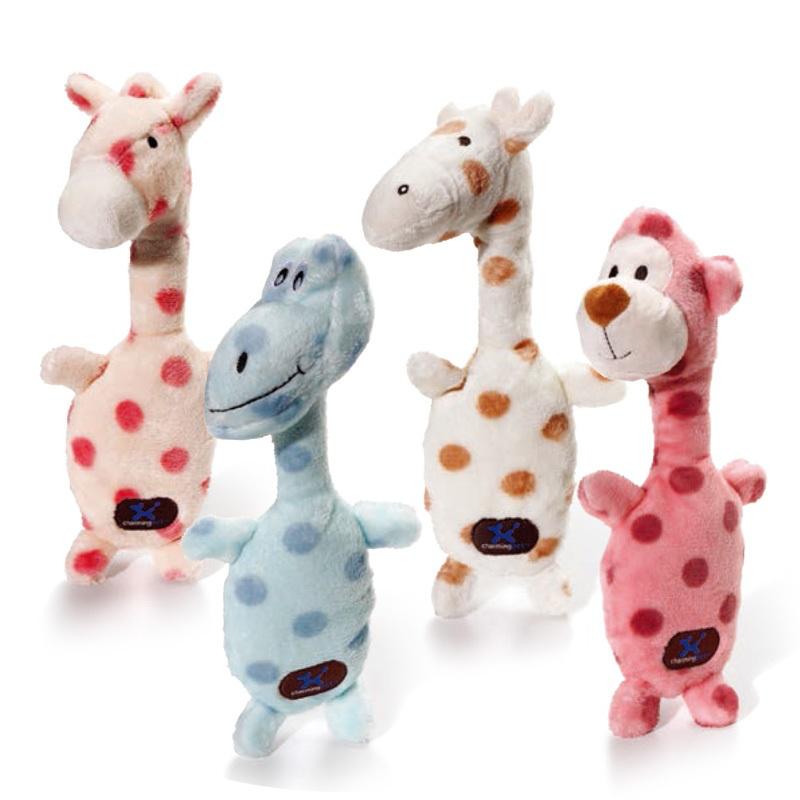 贵宾犬怎么饲养,贵宾犬如何饲养好