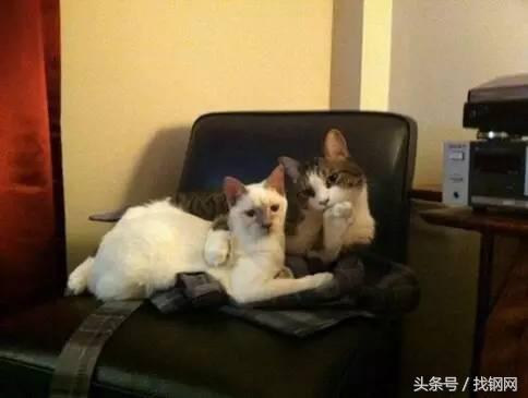 钢材销售员的一天，简直太形象了！笑喷……