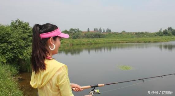 钓鱼鸡肝饵料的做法,鸡肝钓鱼绝招大全