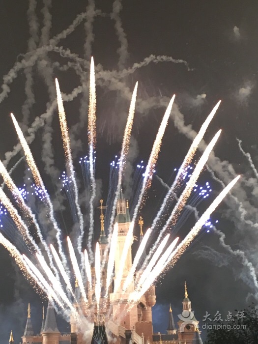 上海迪士尼省钱攻略,一碗吃饱了之迪士尼省钱攻略