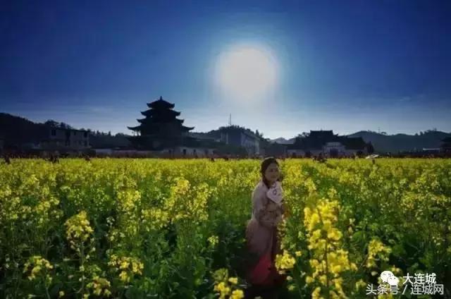 二月二龙抬头福建人,福建连城二月二龙抬头