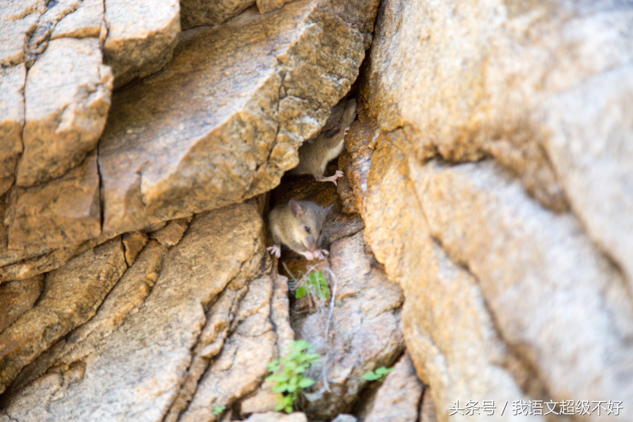 北京密云桃源仙谷度假村华驿民宿,北京密云桃源仙谷农家院
