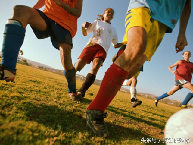 来感受一下世界第一大格斗运动,来一场运动