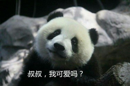 中国十大最火的外国网红,抖音百万网红姐弟抱大腿