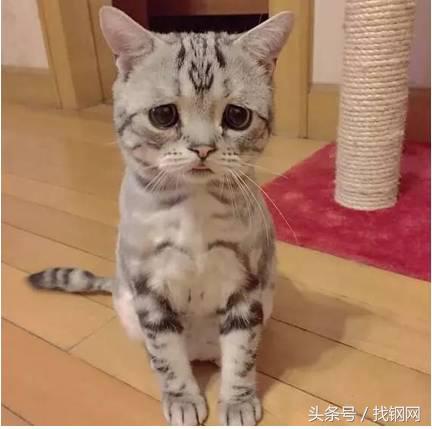 钢材销售员的一天，简直太形象了！笑喷……