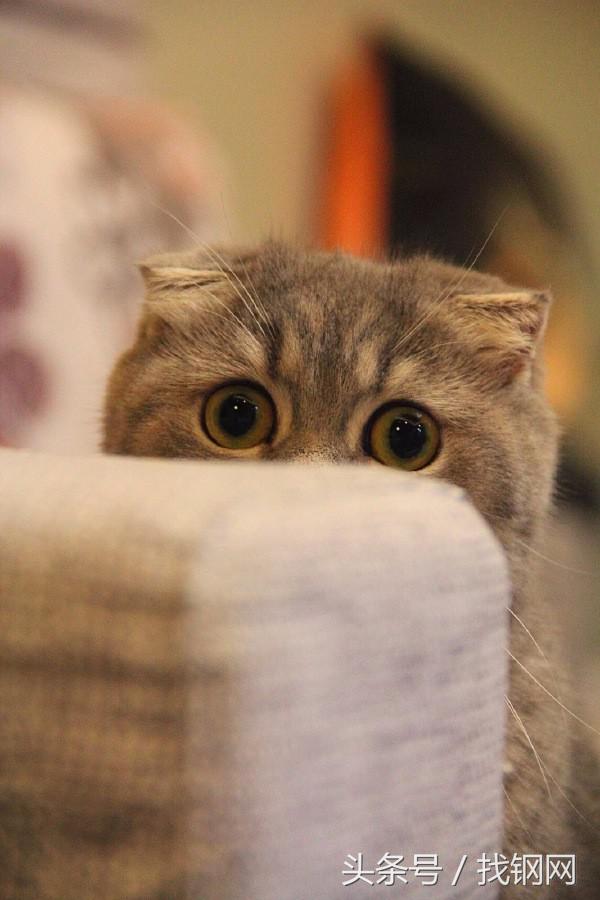 钢材销售员的一天，简直太形象了！笑喷……