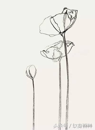 做好人还是做坏人全在自己,这就是*粟罂**和纹身