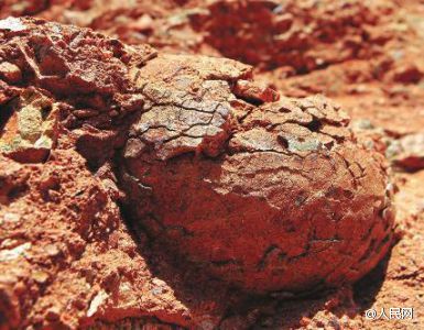 村子修路发现恐龙化石,老人挖出恐龙蛋化石