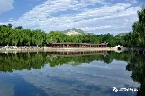 北京赏花踏青自驾游,北京国家森林公园踏青