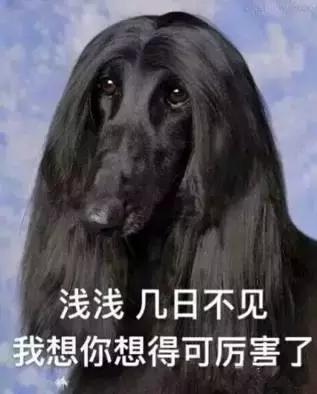 离镜张彬彬杨幂,离镜张彬彬语音曝光