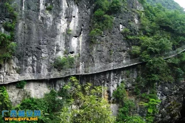 融安玻璃栈道怎么去,柳州融安玻璃栈道门票价格