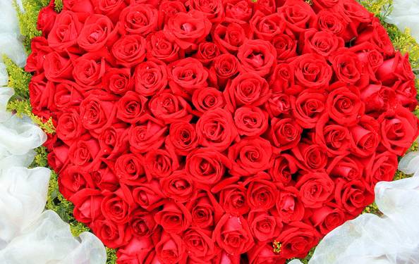 刘雯的气场,刘雯气场到底有多厉害