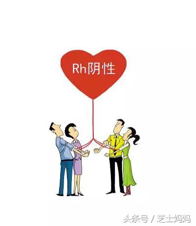 熊猫血和啥血型正常生娃,熊猫血生二胎真的难吗