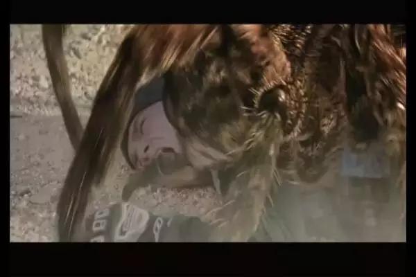 这是你们要的大长腿，备好纸巾，准备上下其手吧