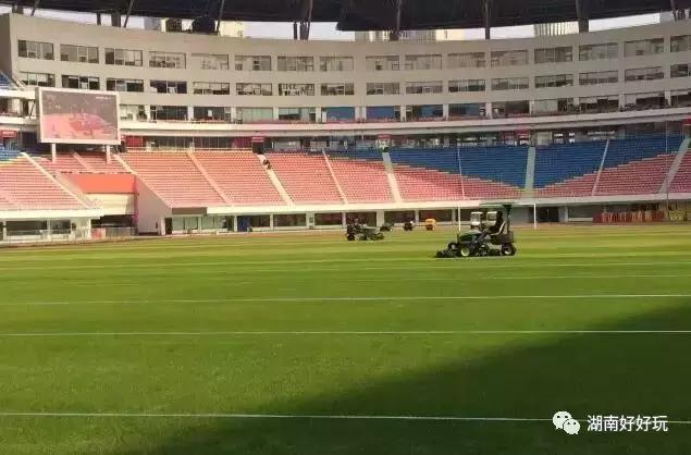 国足最新比赛票,国足对阵泰国队球票今日起售