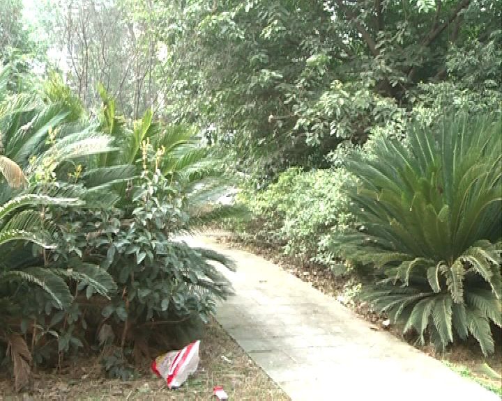 小区内建房,小区中发生的事