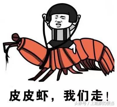 12种常见虾图解大全,各种虾的区别及图片