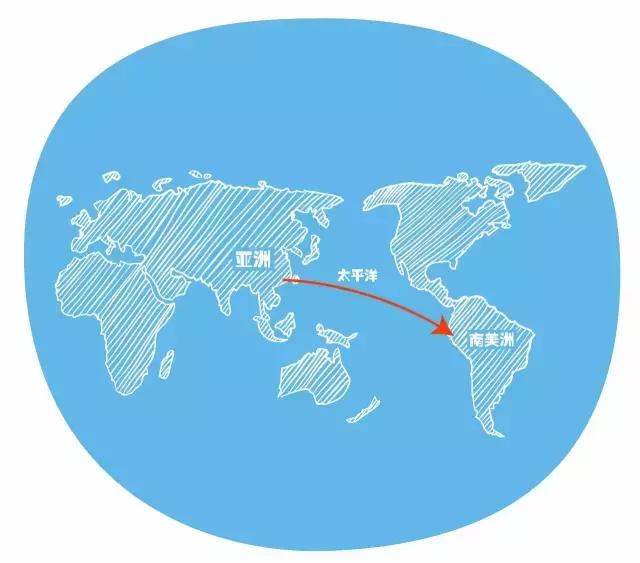 这才是旅行的样子,从亚洲至南美洲,他比我们多了点勇气和决心