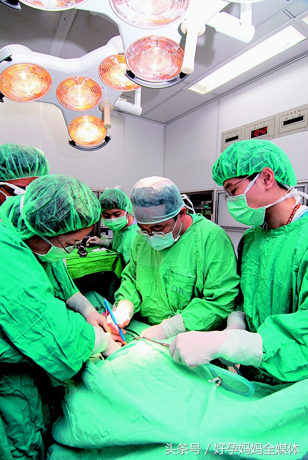 四海八荒最不好惹的四个人,四海八荒有多可怕