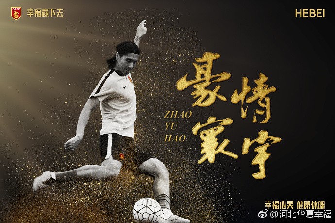 天津泰达足球俱乐部改名,曲波重回天津泰达的进球集锦