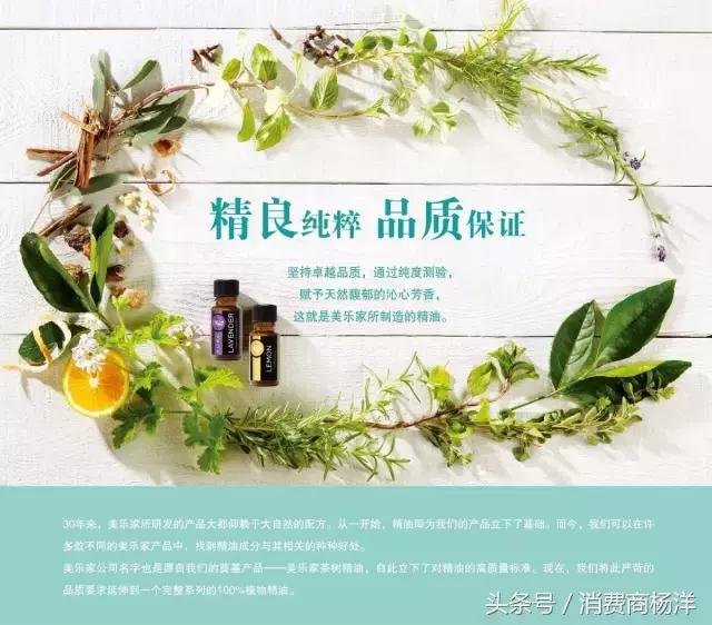 十二款精油的介绍