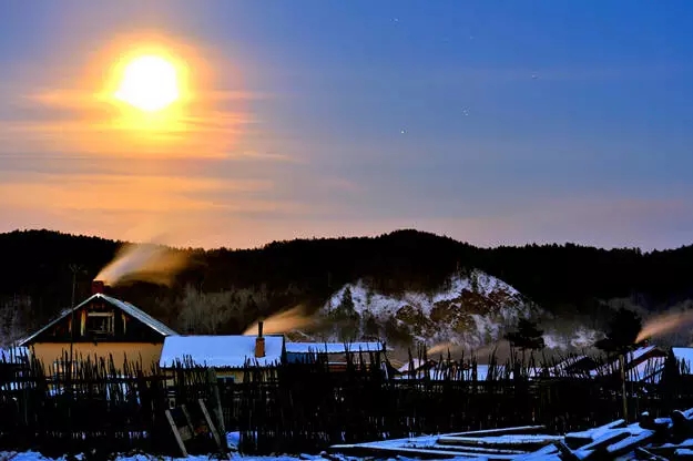 大自然的恩赐野生黑枸杞,大自然的恩赐野果