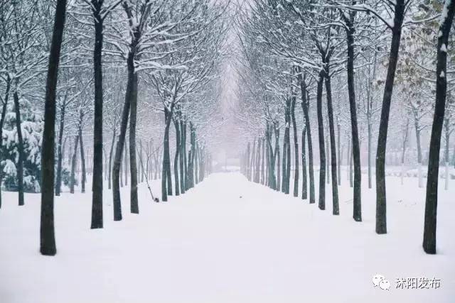 沭阳现在是个什么样的城市,沭阳是一个怎么样的城市