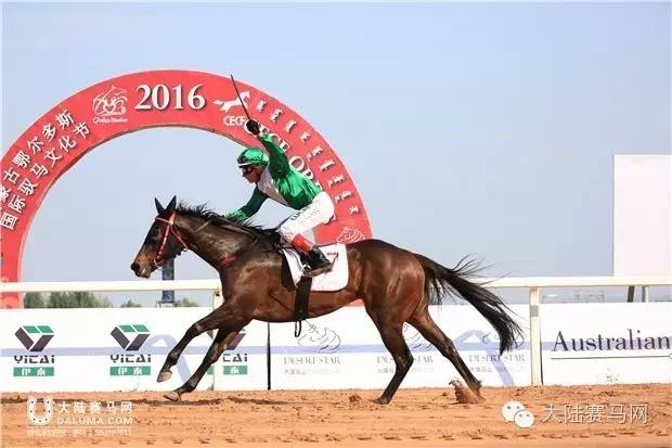 马术文化节开幕,鄂尔多斯驭马节赛事