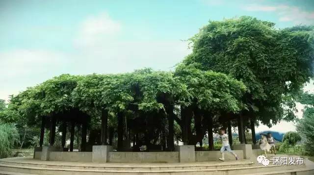 沭阳现在是个什么样的城市,沭阳是一个怎么样的城市