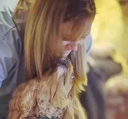 狗狗生病了吃什么食物,狗狗生病了吃点什么好