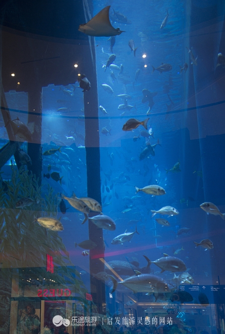 迪拜海洋馆房间,迪拜海底世界